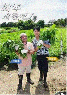 周末食光局 综艺海报